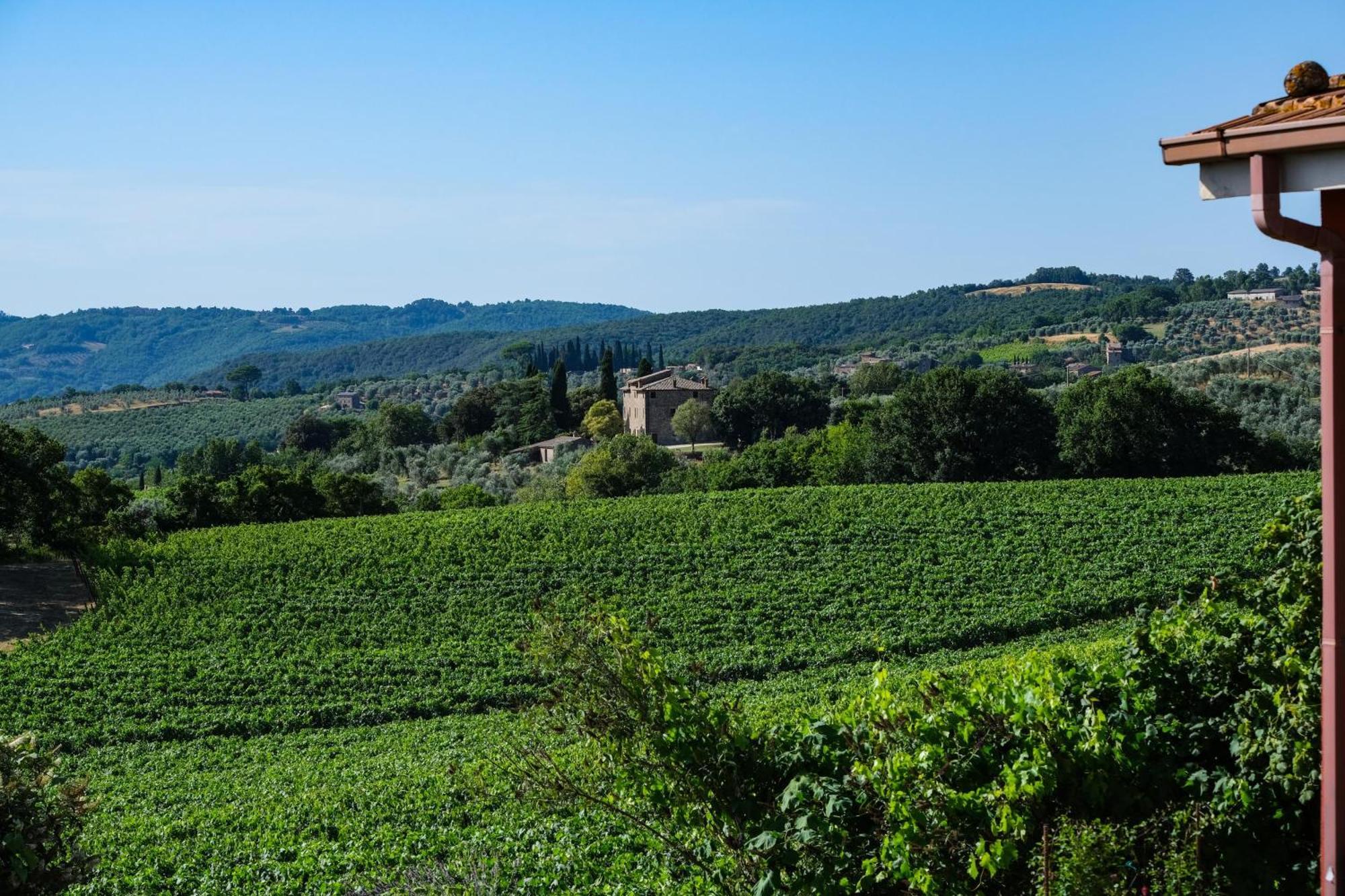 Casale Beatrice Degli Ulivi Villa Orvieto Kültér fotó