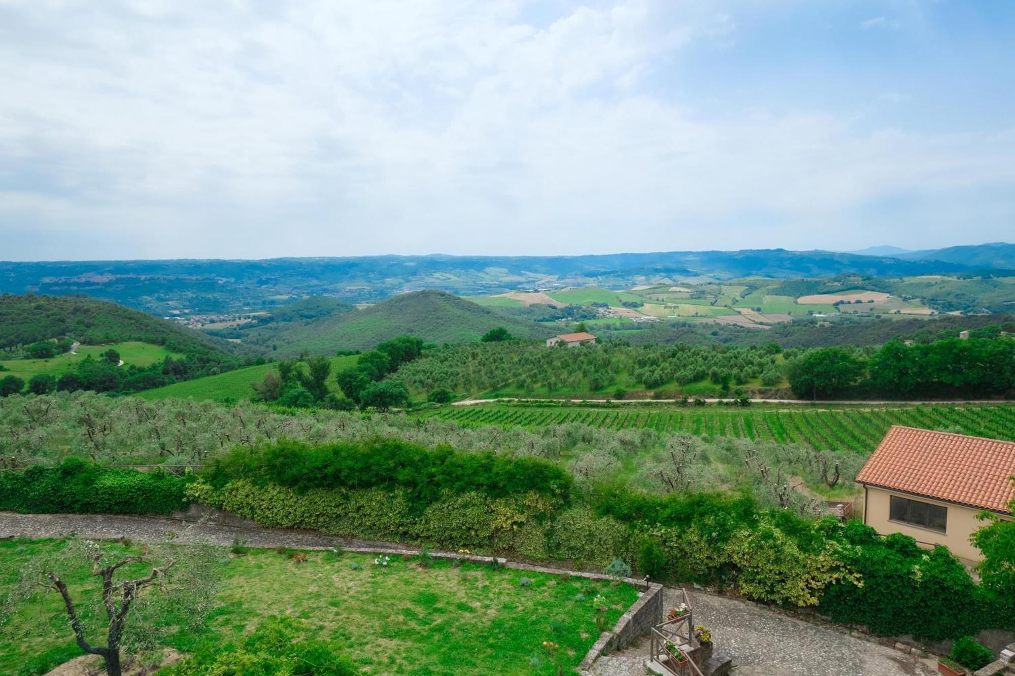 Casale Beatrice Degli Ulivi Villa Orvieto Kültér fotó