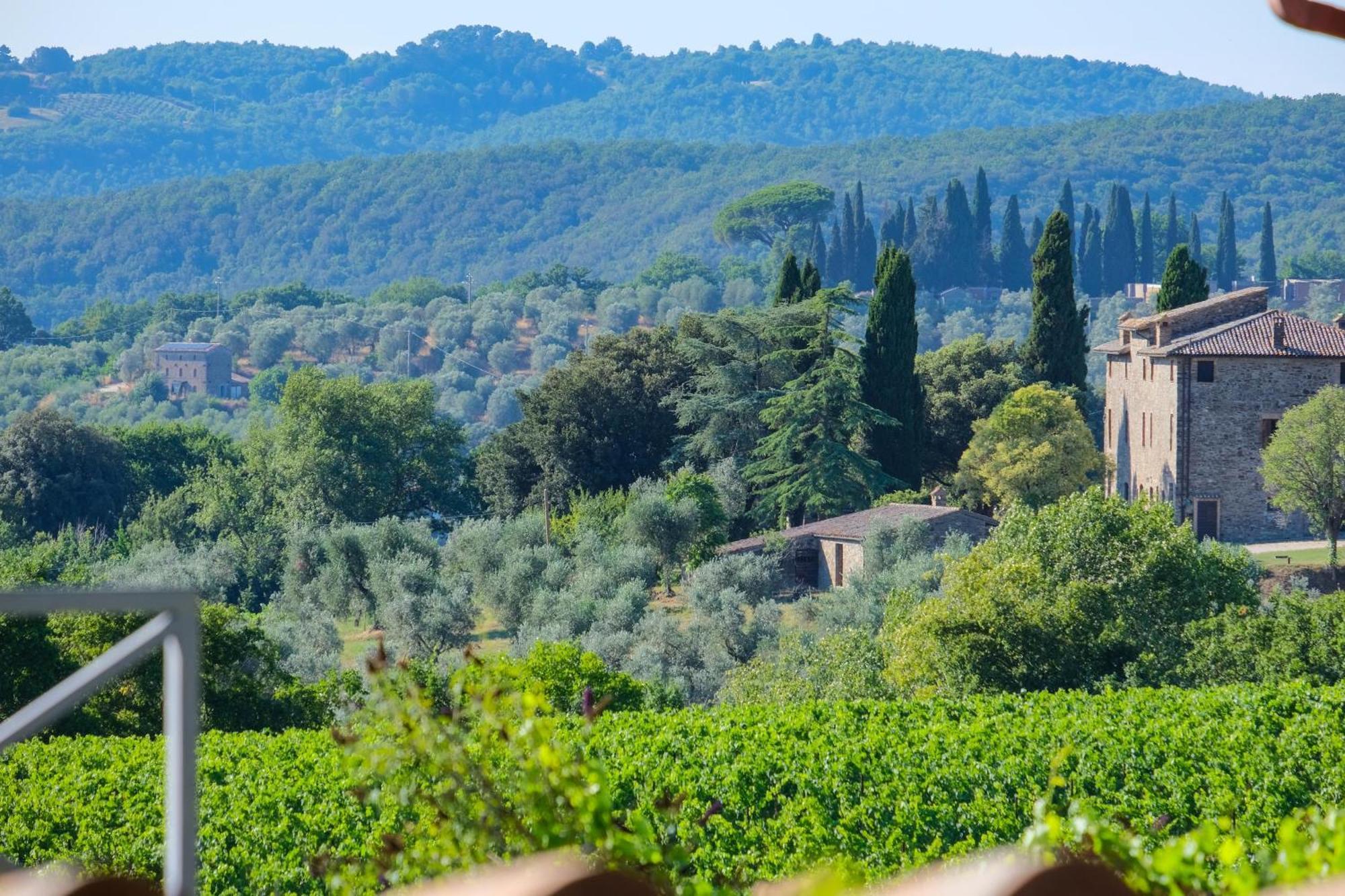 Casale Beatrice Degli Ulivi Villa Orvieto Kültér fotó