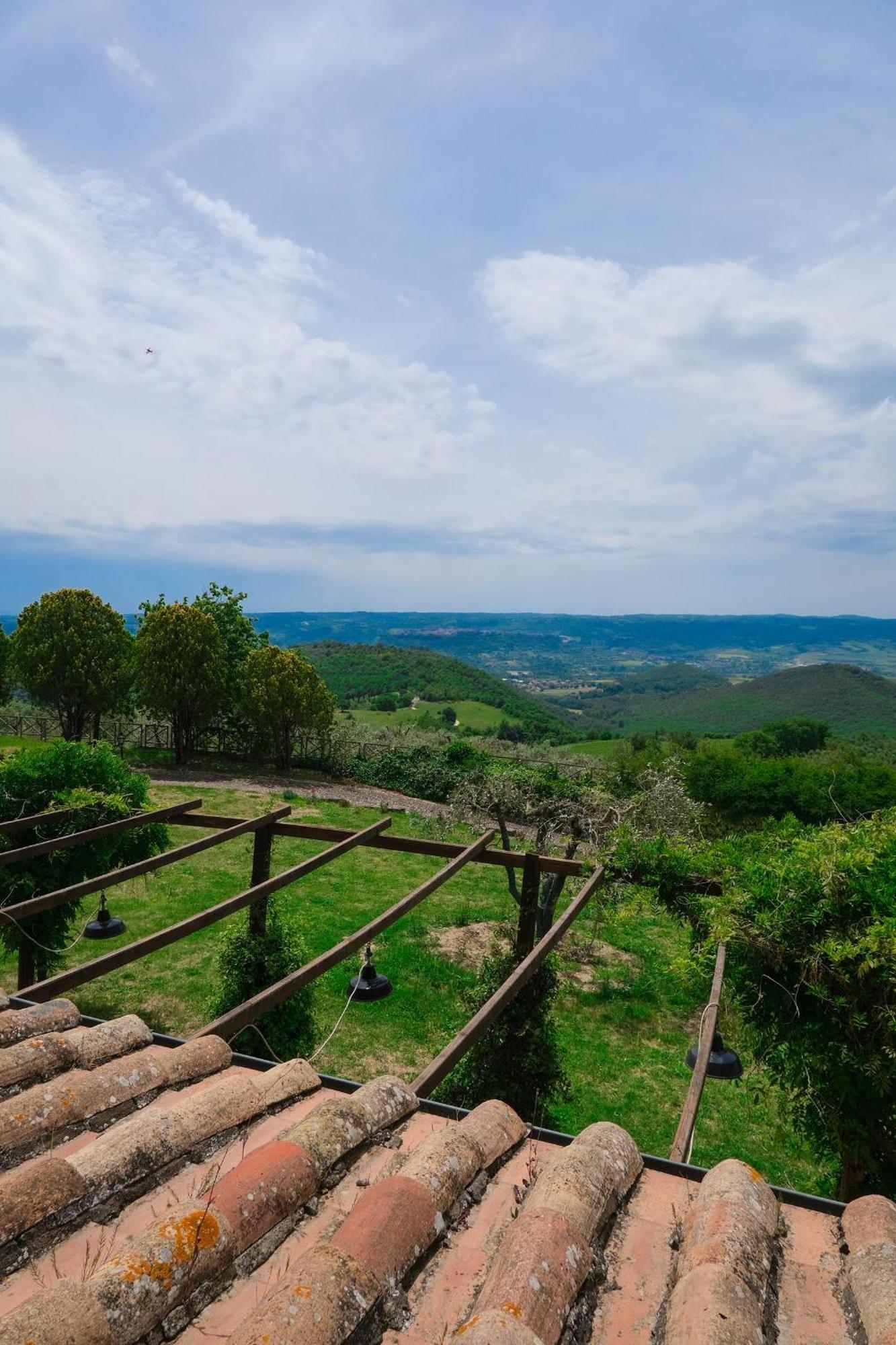 Casale Beatrice Degli Ulivi Villa Orvieto Kültér fotó