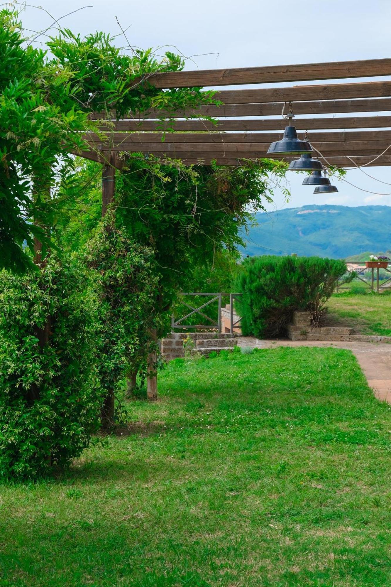 Casale Beatrice Degli Ulivi Villa Orvieto Kültér fotó