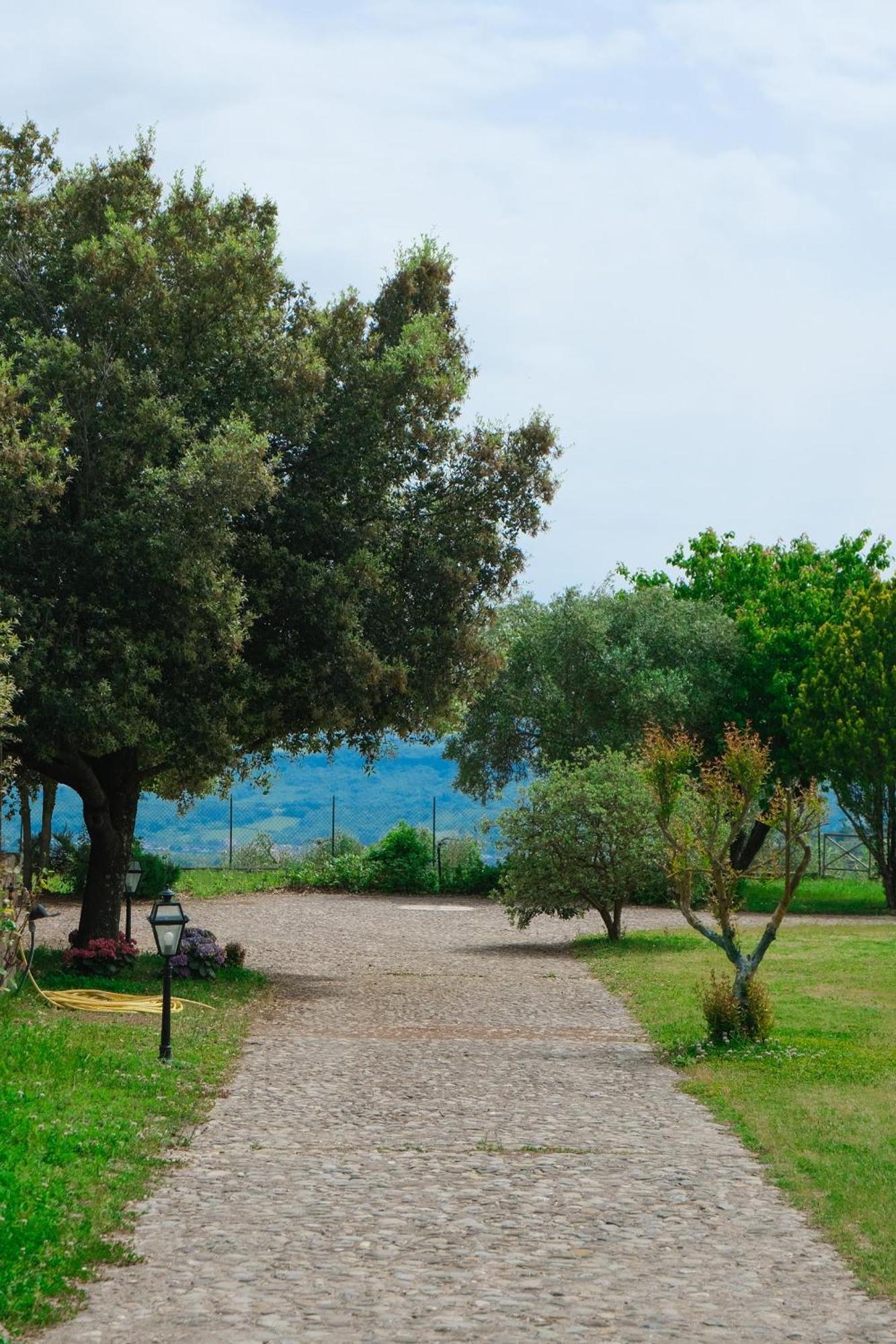 Casale Beatrice Degli Ulivi Villa Orvieto Kültér fotó